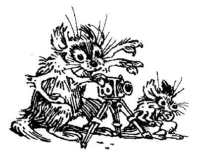 Иллюстрация к книге — Девочка, с которой ничего не случится [i_008.png]