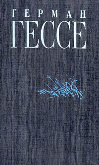 Книга Под колесами