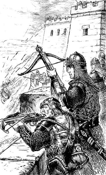 Иллюстрация к книге — Знамя химеры [i_003.jpg]