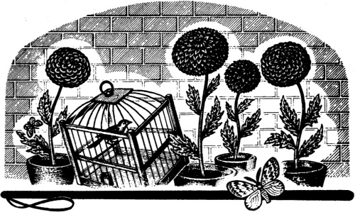 Иллюстрация к книге — Мисс Прайс и волшебные каникулы [pic16.jpg]