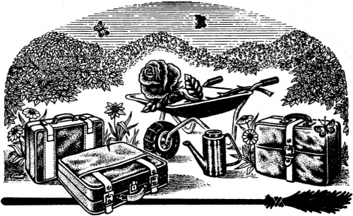 Иллюстрация к книге — Мисс Прайс и волшебные каникулы [pic20.jpg]