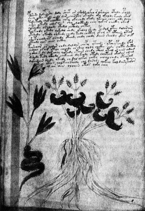 Иллюстрация к книге — Язык небес [i_012.jpg]