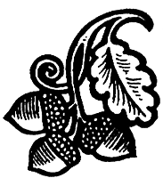 Иллюстрация к книге — Корона из желудей [i_001.png]