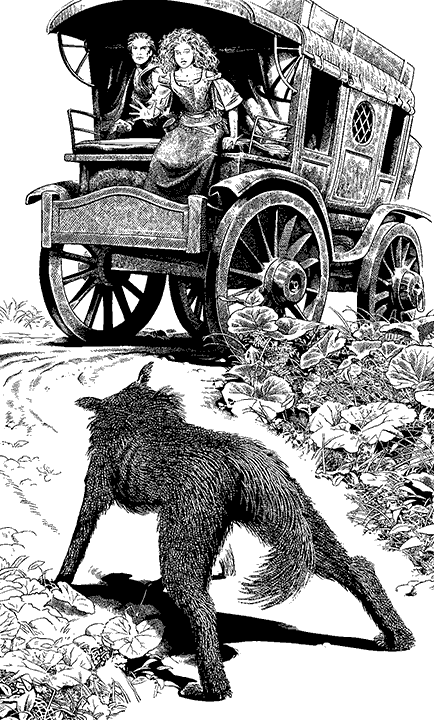 Иллюстрация к книге — Обручальный кинжал [i_001.png]