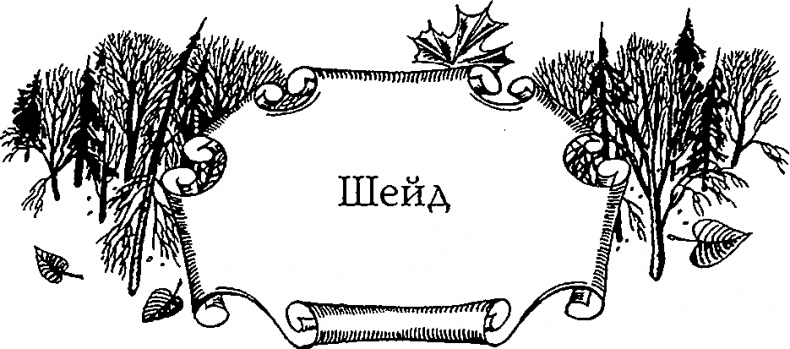 Иллюстрация к книге — Серебряное крыло [i_001.png]