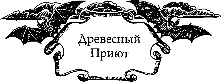 Иллюстрация к книге — Серебряное крыло [i_002.png]