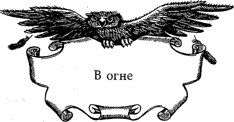 Иллюстрация к книге — Серебряное крыло [i_004.png]