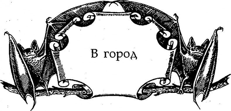 Иллюстрация к книге — Серебряное крыло [i_006.png]