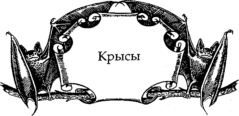 Иллюстрация к книге — Серебряное крыло [i_015.png]