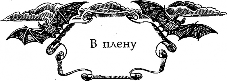 Иллюстрация к книге — Серебряное крыло [i_017.png]