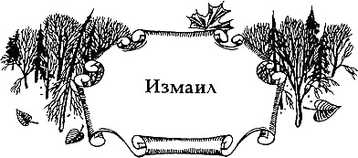 Иллюстрация к книге — Солнечное крыло [i_008.png]