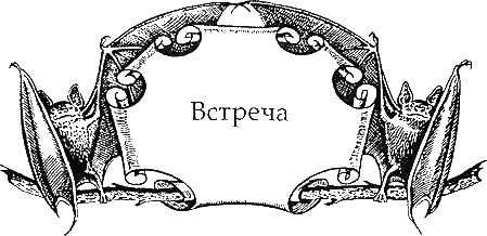 Иллюстрация к книге — Огненное крыло [i_009.png]