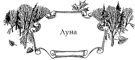 Иллюстрация к книге — Огненное крыло [i_010.png]