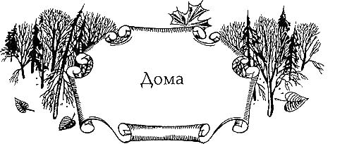 Иллюстрация к книге — Огненное крыло [i_018.png]