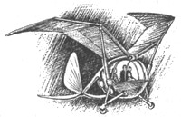 Иллюстрация к книге — Небесный скиталец [pic06.jpg]