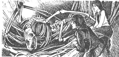 Иллюстрация к книге — Небесный скиталец [pic16.jpg]