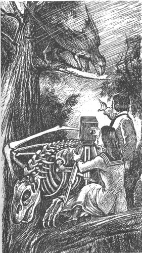 Иллюстрация к книге — Небесный скиталец [pic19.jpg]