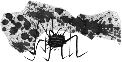 Иллюстрация к книге — Гимназия №13 [_145.png]