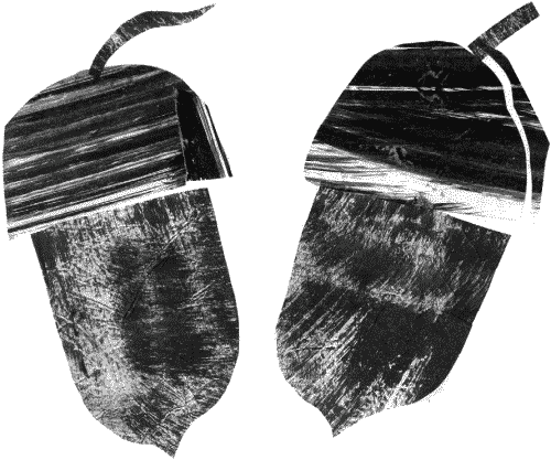 Иллюстрация к книге — Гимназия №13 [_199.png]