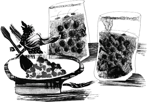 Иллюстрация к книге — Гимназия №13 [_356.png]