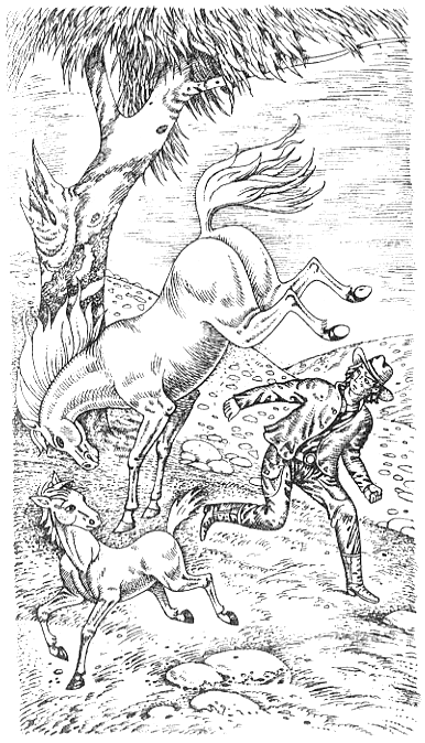 Иллюстрация к книге — Серебряный конь [i_003.png]