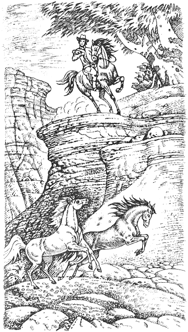 Иллюстрация к книге — Серебряный конь [i_004.png]