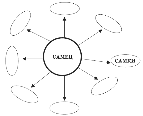 Иллюстрация к книге — ЖЖизнь без трусов. Мастерство соблазнения. Жесть как она есть [i_003.png]