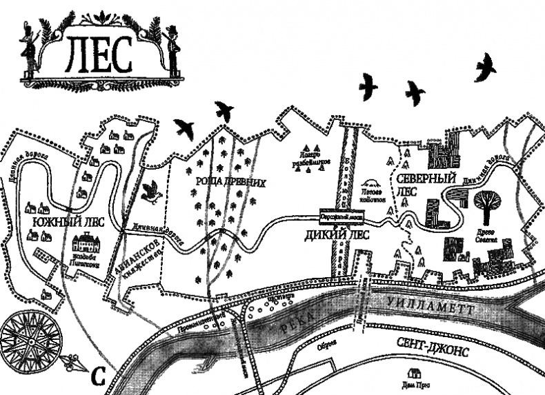 Иллюстрация к книге — Дикий лес [i_001.png]