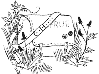 Иллюстрация к книге — Дикий лес [i_010.png]