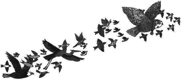 Иллюстрация к книге — Дикий лес [i_026.png]