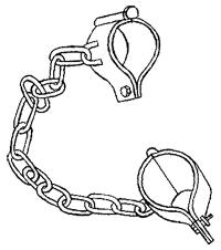 Иллюстрация к книге — Дикий лес [i_033.png]