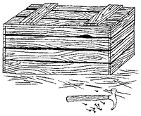 Иллюстрация к книге — Дикий лес [i_042.png]