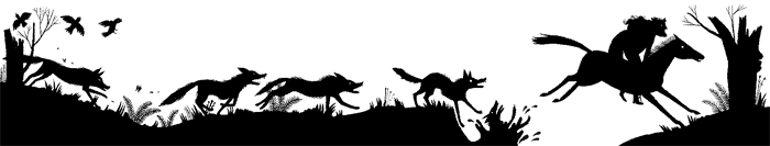 Иллюстрация к книге — Дикий лес [i_047.png]