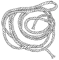 Иллюстрация к книге — Дикий лес [i_048.png]