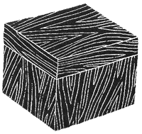 Иллюстрация к книге — Дикий лес [i_051.png]