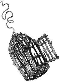 Иллюстрация к книге — Дикий лес [i_055.png]