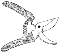 Иллюстрация к книге — Дикий лес [i_068.png]