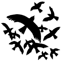 Иллюстрация к книге — Дикий лес [i_076.png]