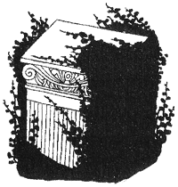 Иллюстрация к книге — Дикий лес [i_078.png]