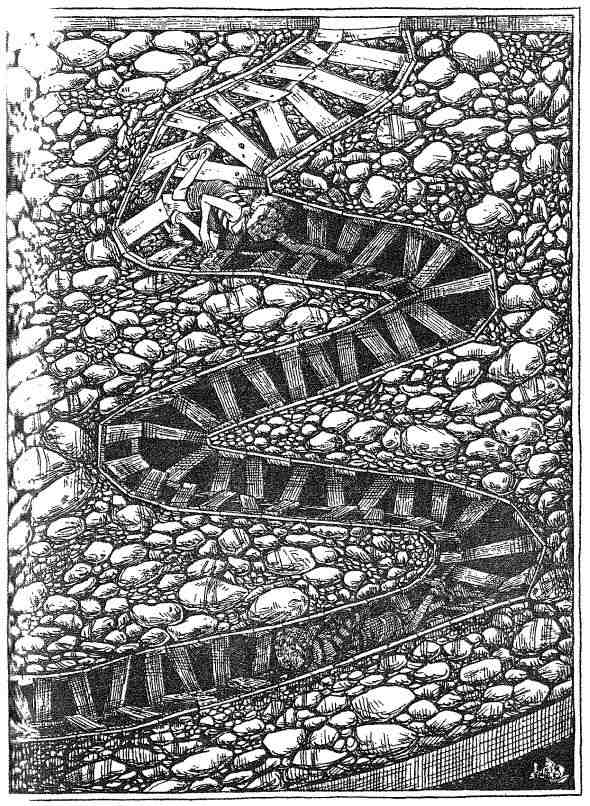 Иллюстрация к книге — Фергус Крейн и огненные алмазы [i_049.jpg]