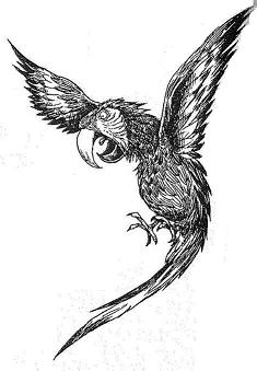 Иллюстрация к книге — Фергус Крейн и огненные алмазы [i_056.jpg]