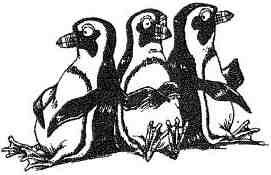 Иллюстрация к книге — Фергус Крейн и огненные алмазы [i_084.jpg]