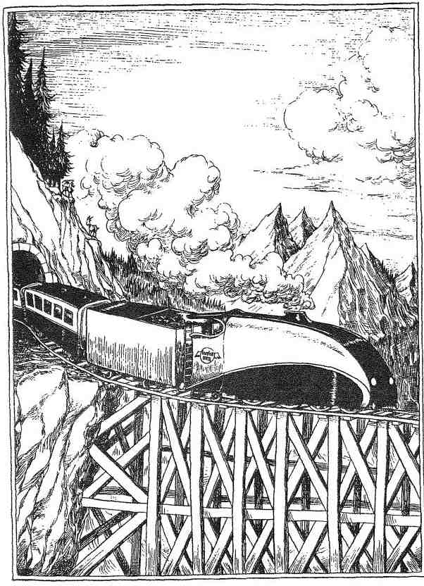 Иллюстрация к книге — Фергус Крейн и огненные алмазы [i_116.jpg]