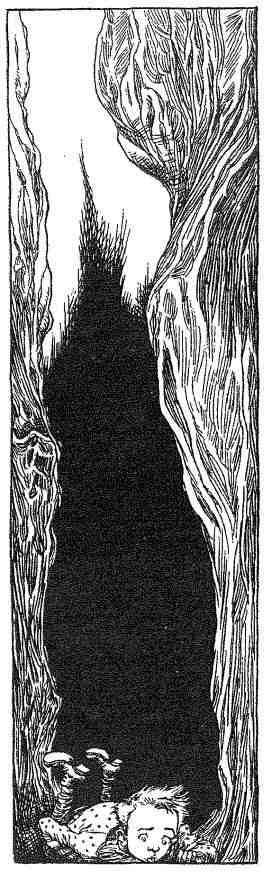 Иллюстрация к книге — Фергус Крейн и огненные алмазы [i_138.jpg]