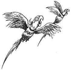 Иллюстрация к книге — Фергус Крейн и огненные алмазы [i_142.jpg]