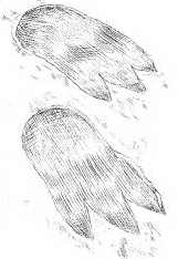 Иллюстрация к книге — Наследник пиратов [i_009.jpg]