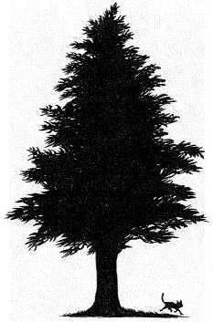 Иллюстрация к книге — Наследник пиратов [i_017.jpg]