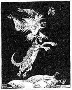 Иллюстрация к книге — Наследник пиратов [i_056.jpg]