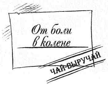 Иллюстрация к книге — Наследник пиратов [i_069.jpg]