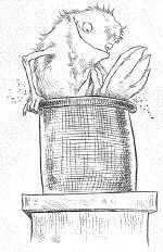 Иллюстрация к книге — Наследник пиратов [i_081.jpg]